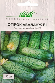 Семена огурца аваланж
