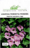 Семена цветов азарина ползучая розовая