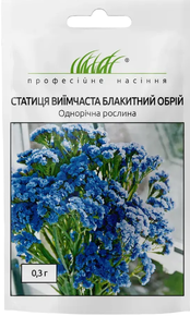 насіння квітів статиця
