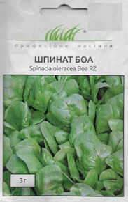 купить семена боа шпинат