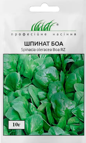 Купить семена шпинат боа