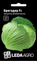 Семена капусты бригадир