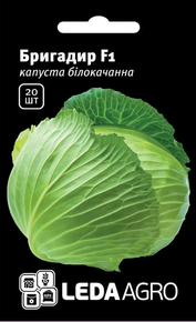 Семена капусты бригадир