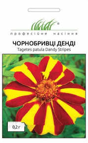 купить семена бархатцы денди