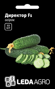 Купить семена огурец директор