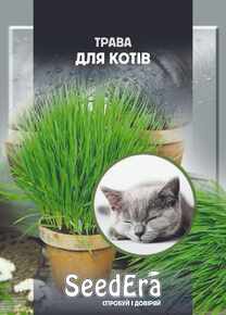 Семена травы для котов