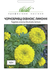 купить семена бархатцев эквинокс лимонные