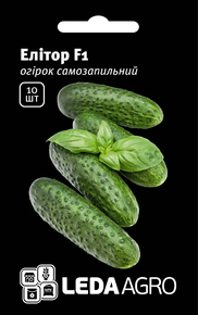 Купить семена огурец элитор