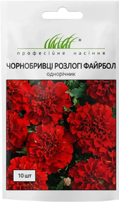 насіння квіти чорнобривці