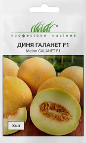 Купить семена дыня галанет