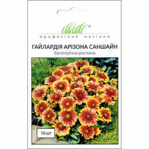 купить семена гайлардия аризона саншайн