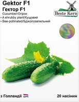 купить семена огурец гектор