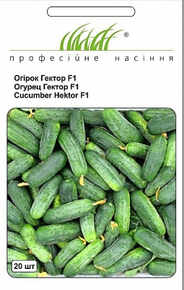 семена огурцов гектор
