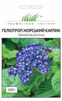 купить семена гелиотроп морской карлик