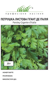 насіння петрушка гігант де італія