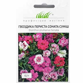 купить семена гвоздика соната смесь