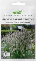 Купить семена цветов лагурус заячий хвостик