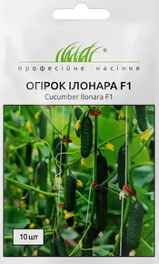 Семена огурцов илонара