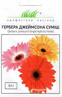 купить семена гербера джеймсона смесь