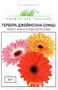 купить семена гербера джеймсона смесь