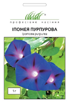 купить семена ипомея пурпурная