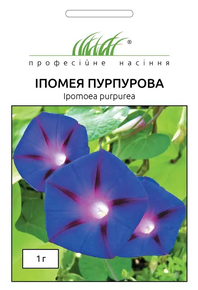 купить семена ипомея пурпурная