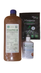 комплект сильный корень