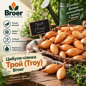 цибуля сіянка трой (Troy) Broer