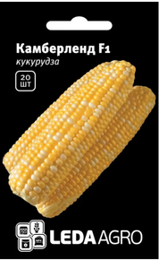 семена кукуруза камберленд