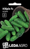 Купить семена огурец кибрия