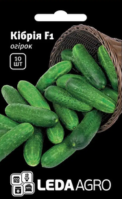 Купить семена огурец кибрия