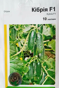 Купить семена огурец кибрия