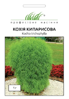 купить семена кохия кипарисная