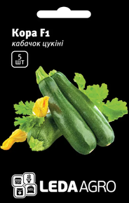 Семена кабачок кора 5 шт