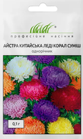 купить семена астра леди корал смесь