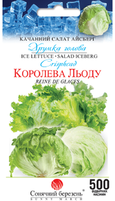 семена салат королева льда