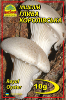 Купить  мицелий гриба вешенка королевская