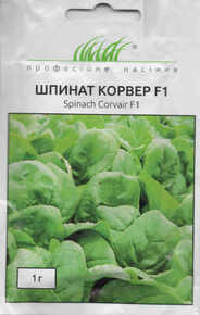 купить семена корвер F1 шпинат