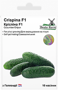 Купить семена огурец криспина