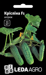 Купить семена огурец криспина