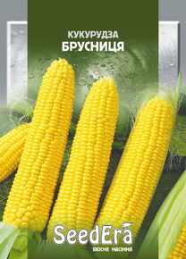 купить семена брусничка кукурудза