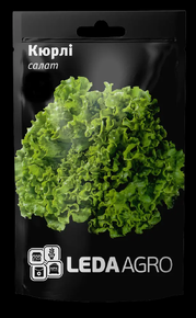Купить семена салат батавия кюрли