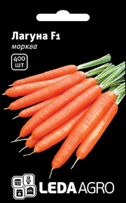 Купить семена морковки лагуна