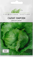 Семена салата ларсен айсберг