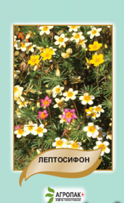 Купить семена цветов лептосифон смесь