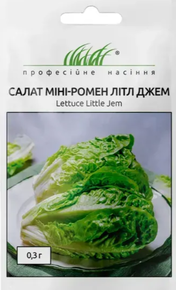 Купить семена салата литл джем мини ромен