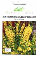 купить семена лизимахии золотоволоска