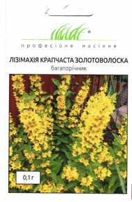 купить семена лизимахии золотоволоска
