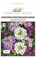 купить семена лобулярия королевский ковер