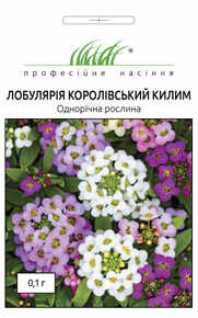 купить семена лобулярия королевский ковер